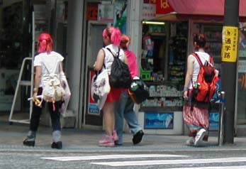 �ʊw�H�Ƃ���܂����A�ޏ��B�͒ʊw���Ă�킯�ł͂���܂���