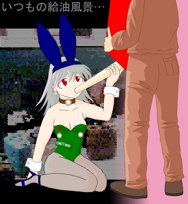 ����̕��i